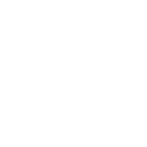 e-commerce ícone