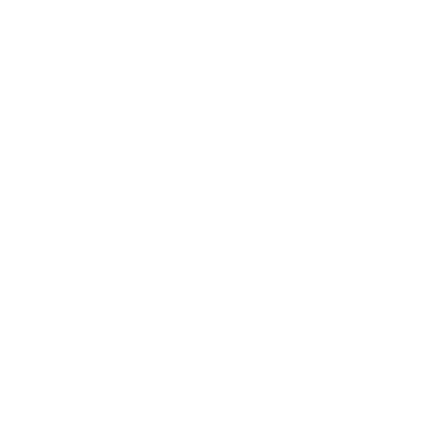 seo ícone