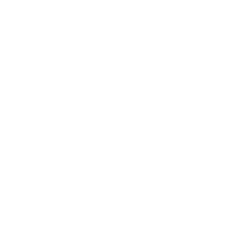 social media ícone